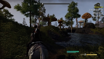 The Elder Scrolls Online: Morrowind Screenshot